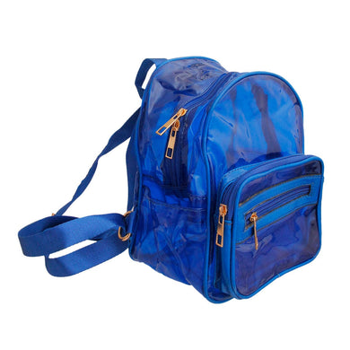 Blue Transparent Backpack